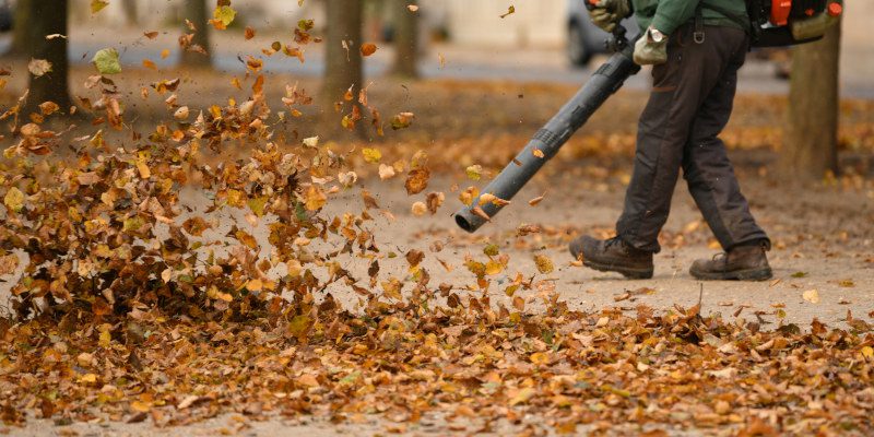 Leaf Blowing in Flowery Branch, Georgia